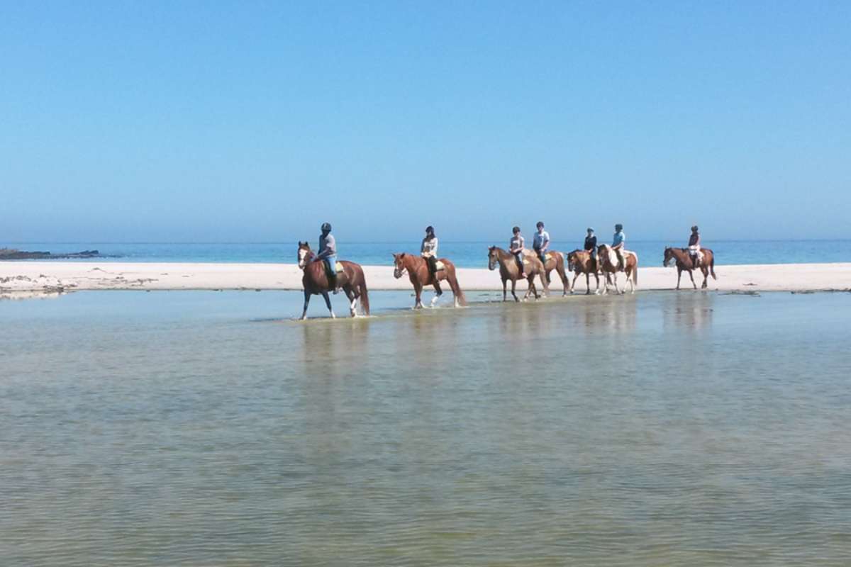 Horseback Riding in Noordhoek